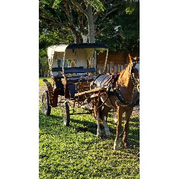 Hotel Fazenda para Andar a Cavalo SP Hotel Fazenda para Andar a Cavalo SP