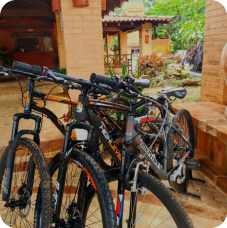 Passeio de Bicicletas Passeio de Bicicletas